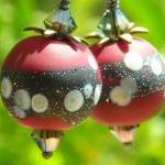 Cherry Earrings, Handmade Artist Lampwork Beads..