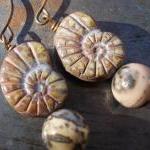 Fossil Harmony, Ammonite Earrings Nautilus Glass..