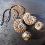 Fossil Harmony, Ammonite Earrings Nautilus Glass..